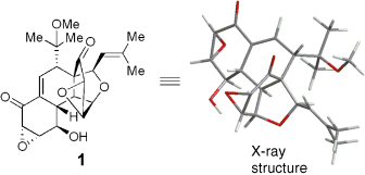 lei-angew chemie-2006