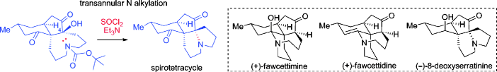 lei-angew chemie-2011