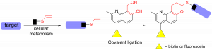 curr org chem