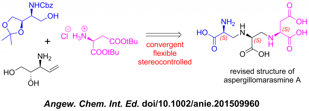 toc-AMA