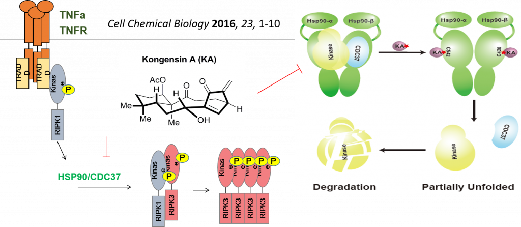 cell chemical biology