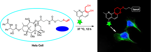 jacs-2013-1