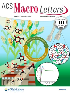 131. Crowding-Induced Unconventional Phase Behaviors in Dendritic Rod-like Molecules via Side-Chain Engineering. ACS Macro Lett. 2021, 10, 844-850.